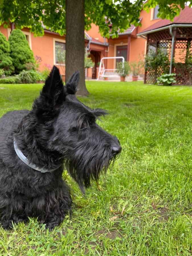 Apartman Dora Hajdúszoboszló Buitenkant foto