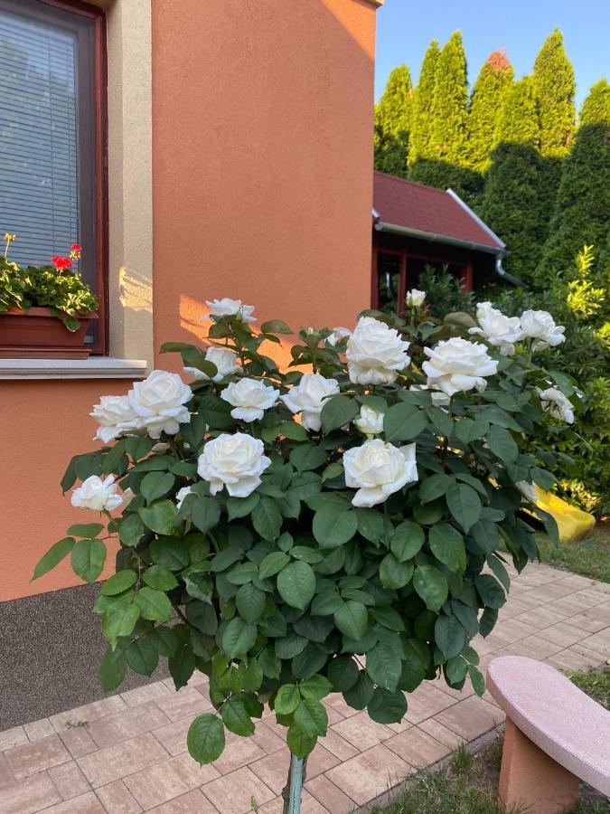 Apartman Dora Hajdúszoboszló Buitenkant foto