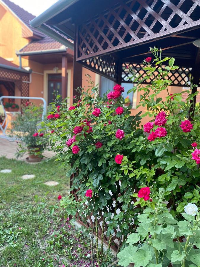Apartman Dora Hajdúszoboszló Buitenkant foto